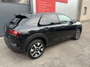 Carwebs 294 2